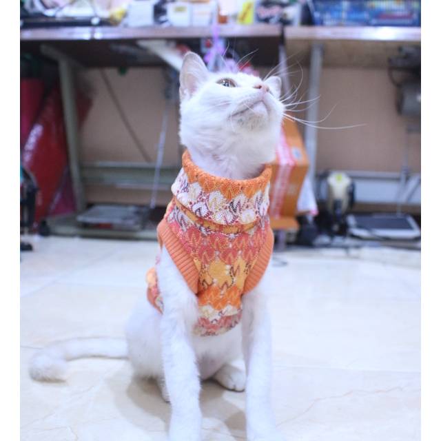 Baju rajut warna orange untuk kucing dan anjing / baju kucing murah size S M L XL