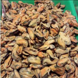 

Kerang Hijau Kupas Fresh 1 Kg