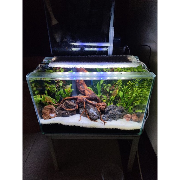 Aquarium Full Set Aquascape 40 AF