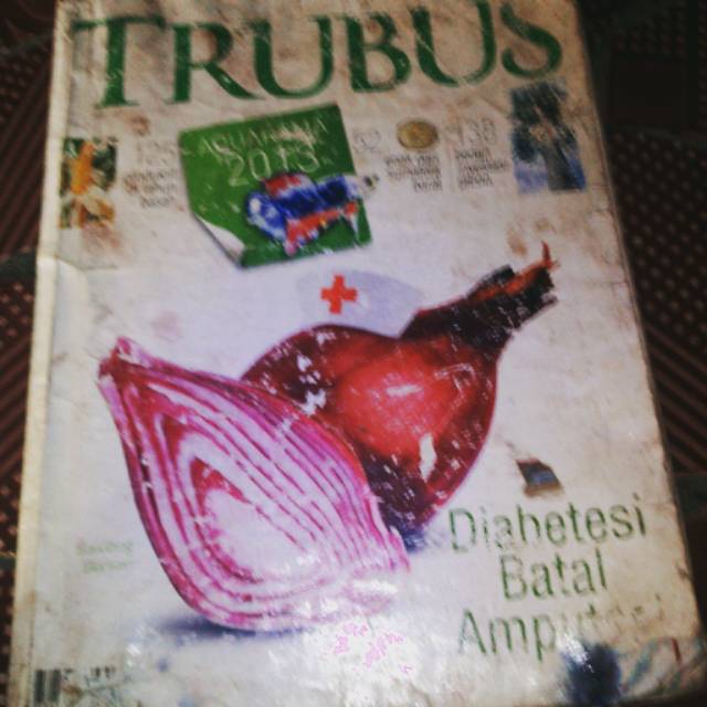 Bawang Dayak Obat Herbal Diabetes Dan Segala Macam Penyakit Shopee Indonesia