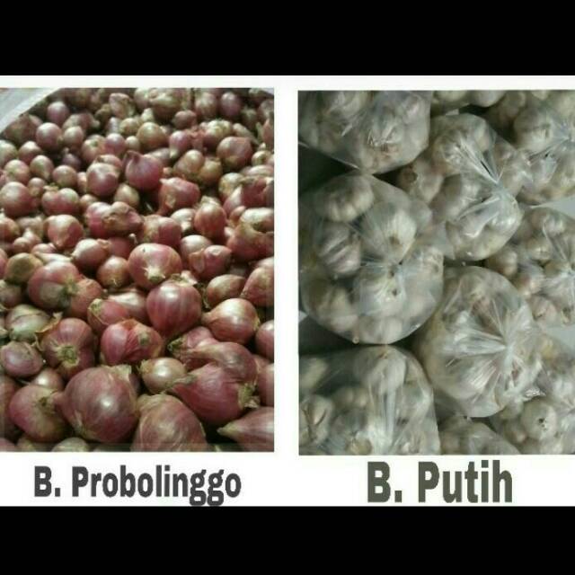 

Paket hemat bawang merah probolinggo+ bawang putih kating