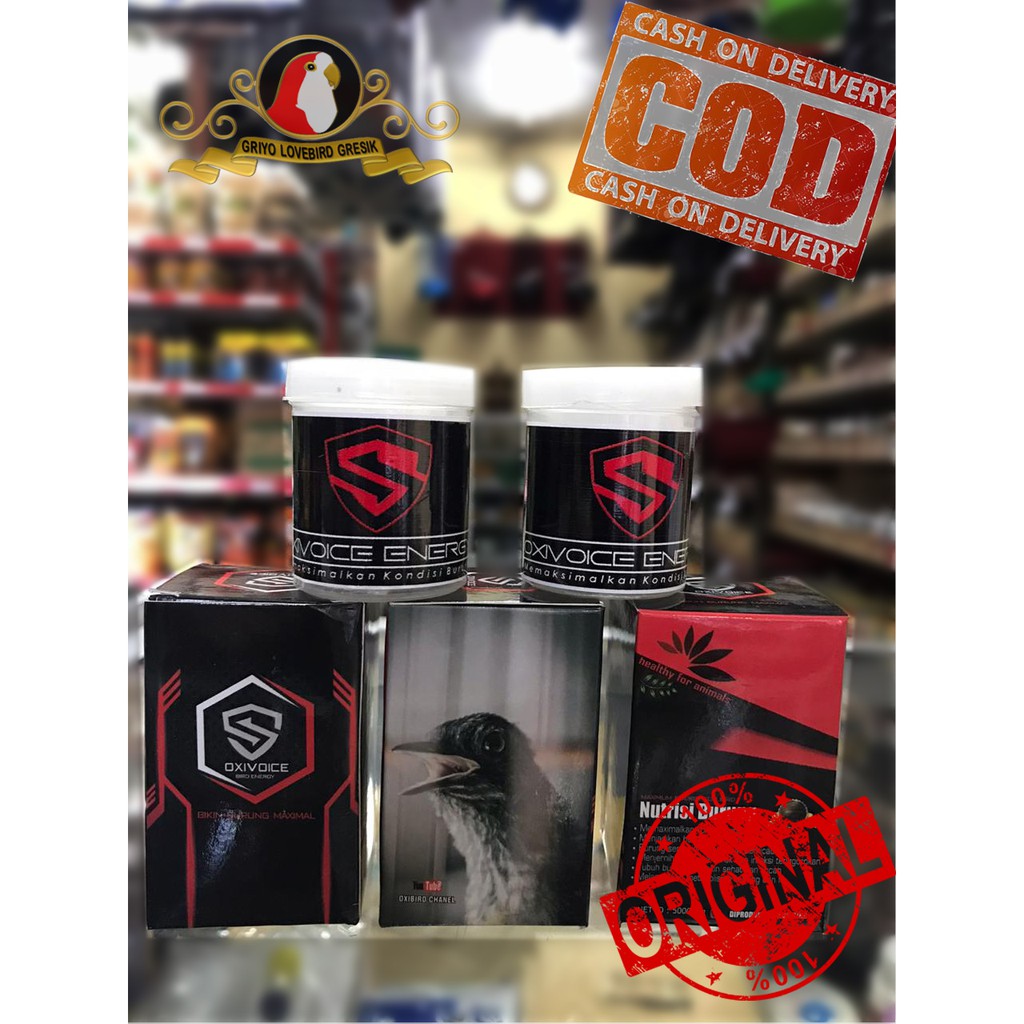 OXIVOICE Serbuk Oxibird Bird Energy Nutrisi Tenaga Atau Serak Murai, Kacer, Cucak Ijo, dll
