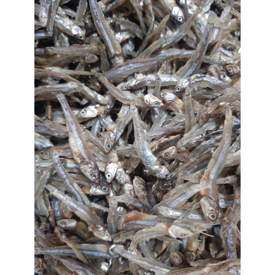 Ikan Teri Aceh