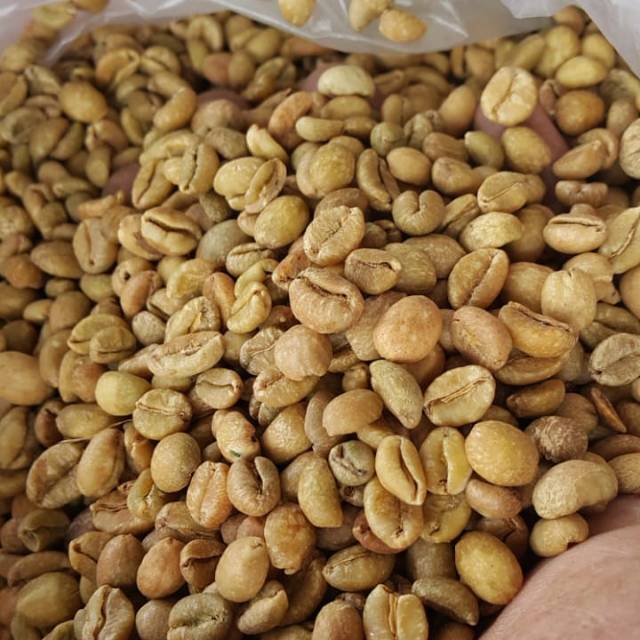 

Biji Kopi excelsa Temanggung