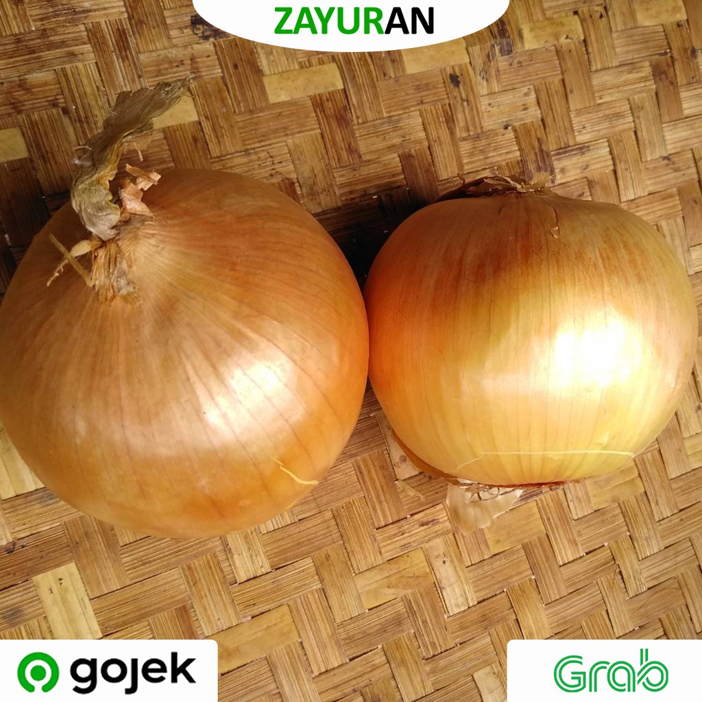 

Bawang Bombay | Bawang Bombay Sedang | Zayuran