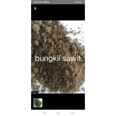 bungkil sawit ampas sawit pakan ternak