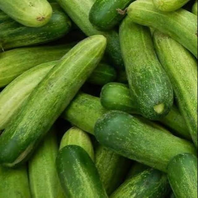 

Sayur Timun lalap atau acar segar