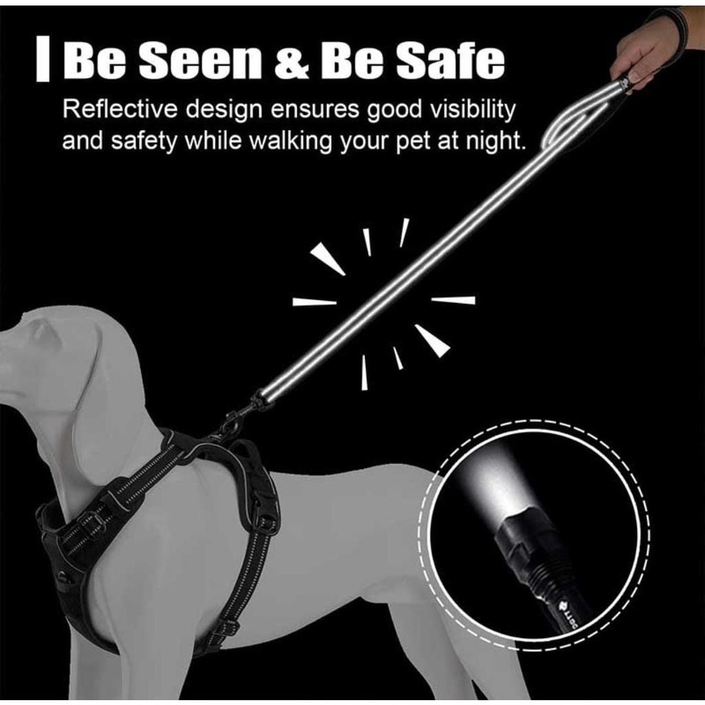 TRUELOVE PET LEASH REFLECTIVE tali tuntun anjing kucing cat dog leash