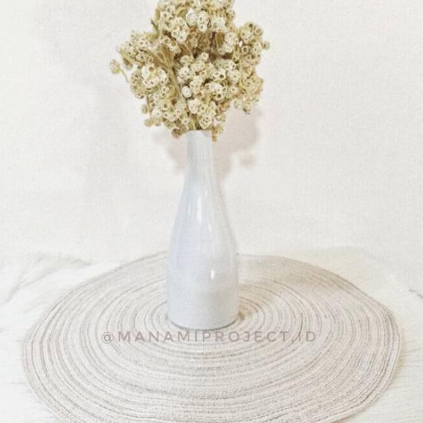 Terbaruϟday Bunga Kering Edelweis / Edelweis Dried Flower /Bunga edelweis