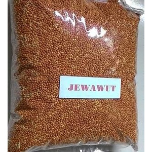 

r0eree Biji Jawawut / Otek / Jewawut 1 Kg Ds20X11