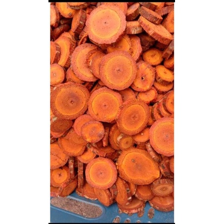 

Akar Kayu Bajakah Tampala Kering Siap Seduh Obat Tumor dan Kanker 100% Asli Kalimantan