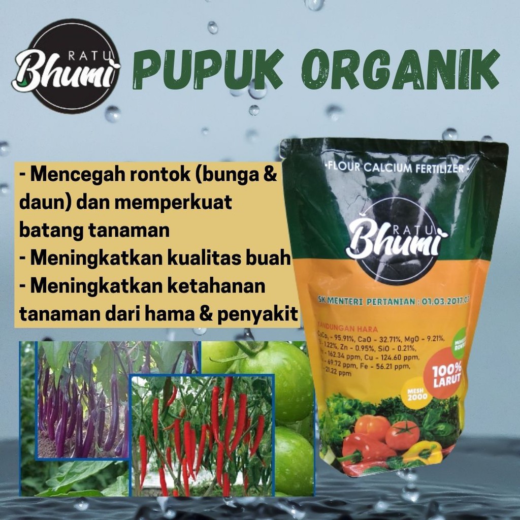 Pupuk Kalsium Tanaman, READY "RATU BHMI" Pupuk Kalsium Bubuk