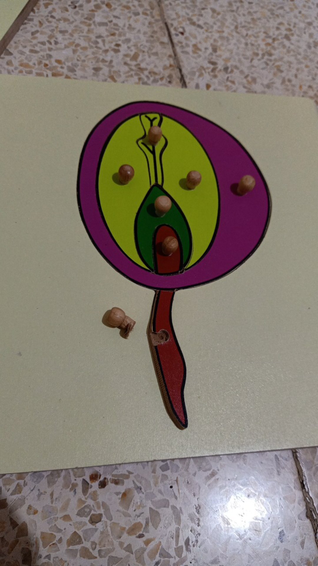 Zoology Set  Puzzle (5pc+cabinet+printable)  / Puzzle Botany Full Set (5pc+cabinet)