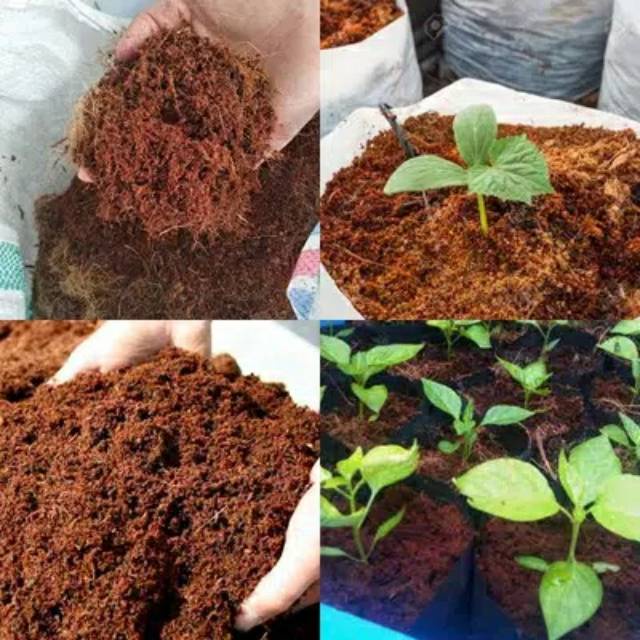cocopeat /kokopit murni 1 kg - Sabut Serabut Kelapa Bubuk Murni Pupuk Media Tanam - Serbuk cocopeat - Kokopit media tanam - Media tanam kokopit - Kokopit untuk media cangkok - Pengganti media tanah - Pengganti tanah untuk tanaman - Pengganti tanah
