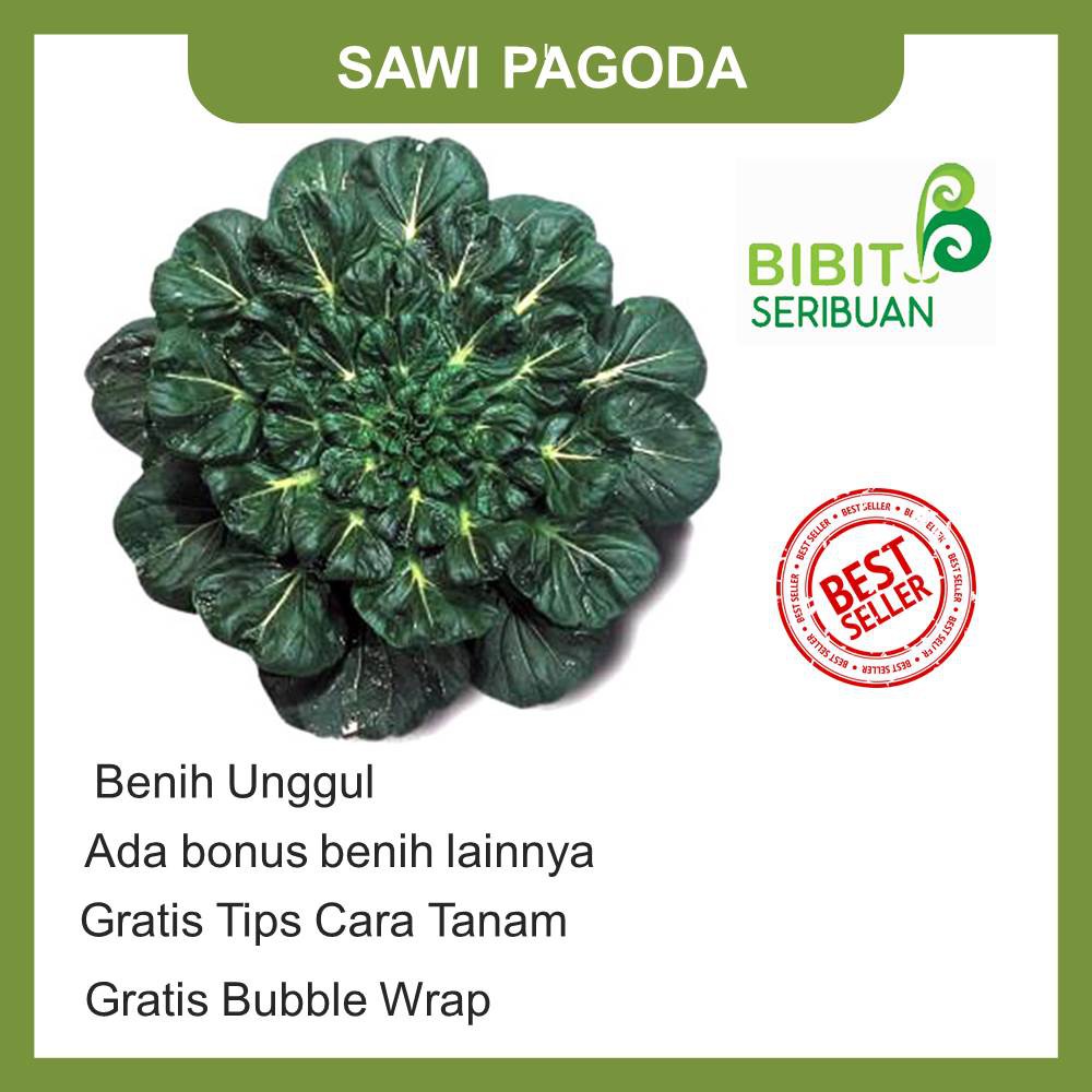 BENIH SAWI PAGODA