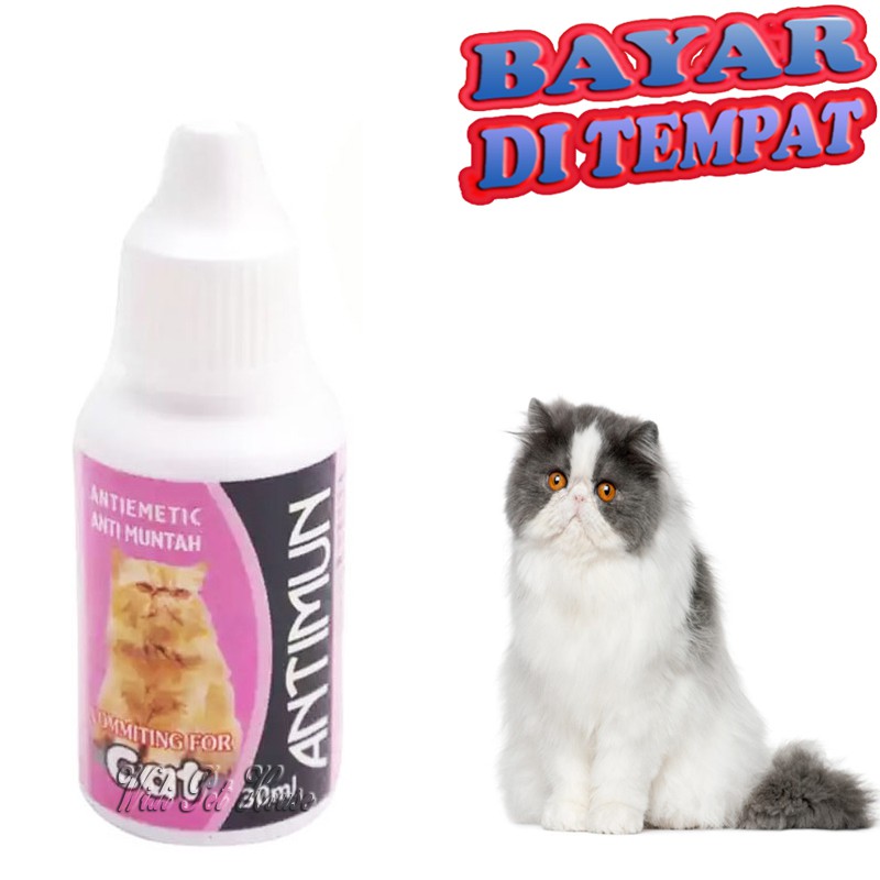 OBAT Muntah Kucing ANTIMUN Sakit Perut Pencernaan