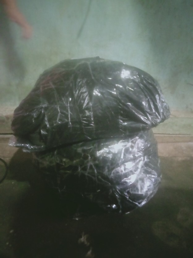 Kemeja Batik Lengan Panjang Batik  Danabrata Pria Motif Songket Hijau Kode 031 M L Xl Xxl Regular