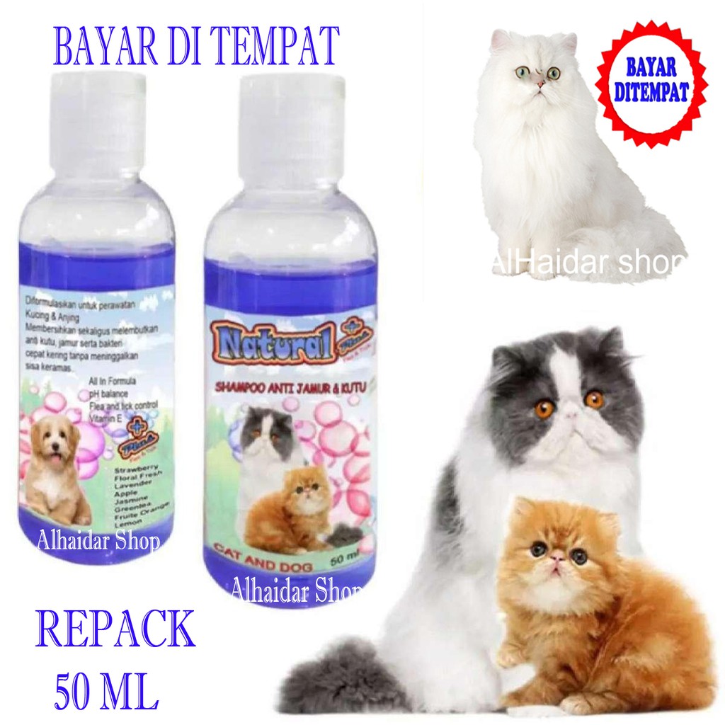 shampo kucing anti jamur kutu natural 50ml