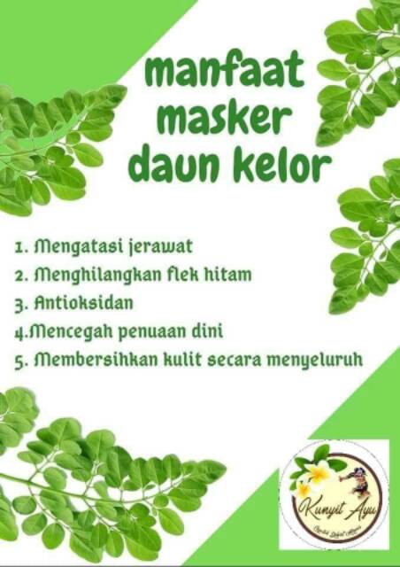 Serbuk daun kelor 100 gram / bubuk daun kelor / Kelor