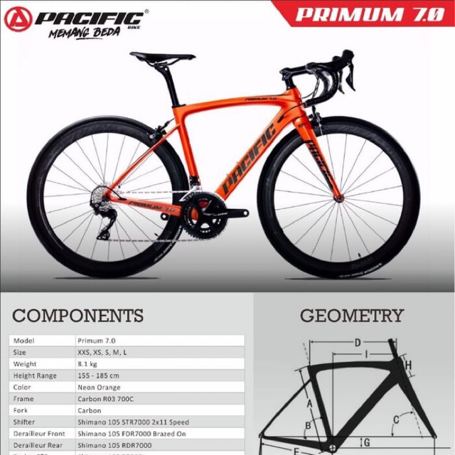 pacific bike carbon