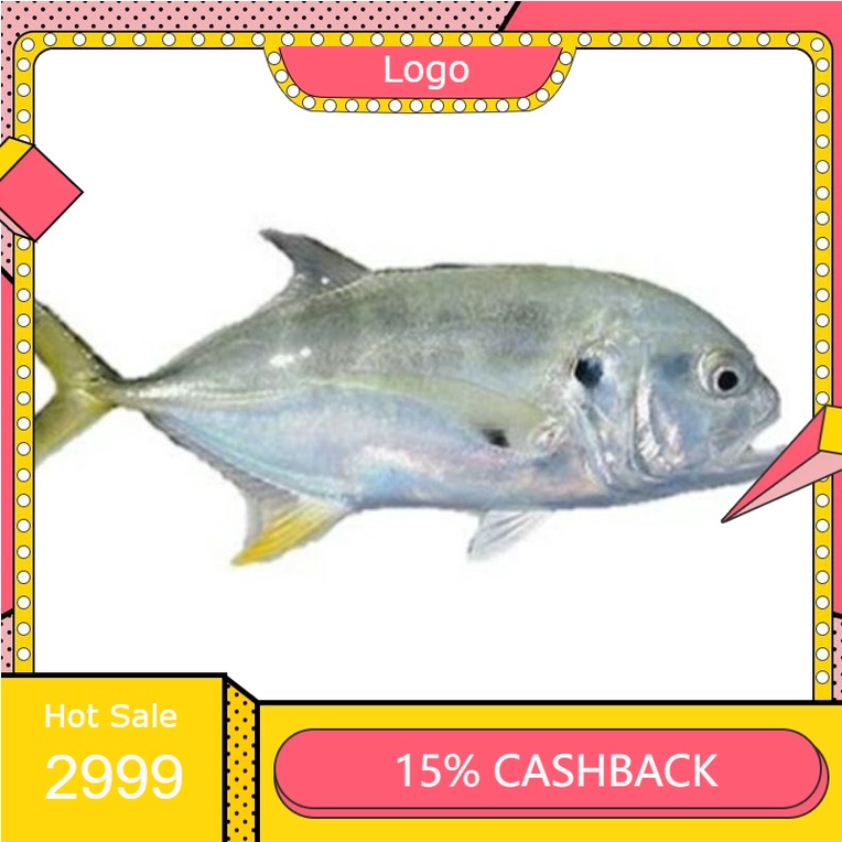 

Ikan Bubara/Ikan Kuwe segar per ekor