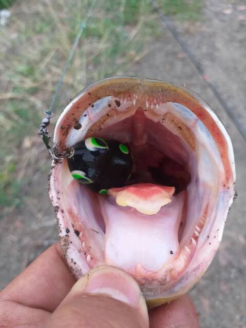 SOFT FROG MICRO KILLER 2 CM