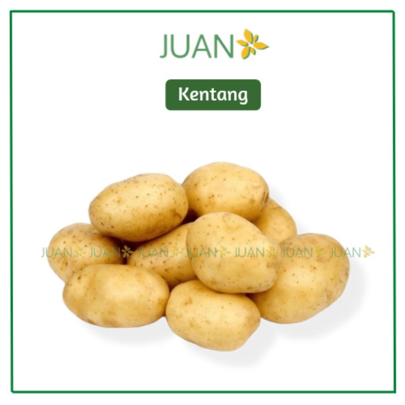 

Kentang 1 kg - Juan Freshmart