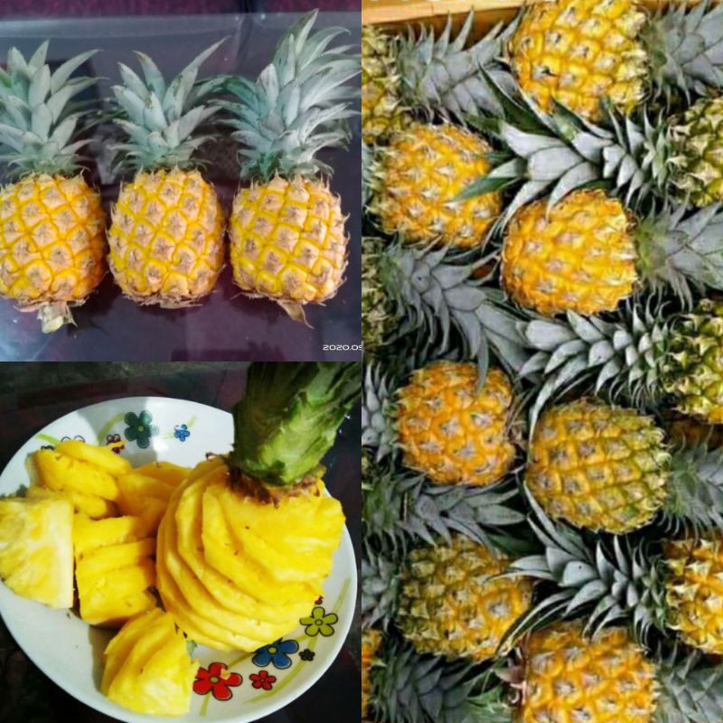 

Nanas Madu Kupas