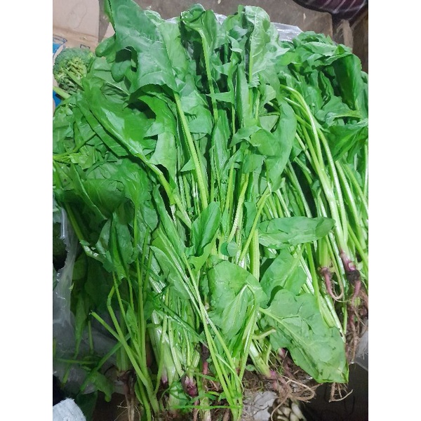 

BAYAM JEPANG/POILENG/HORENSO 500 gram