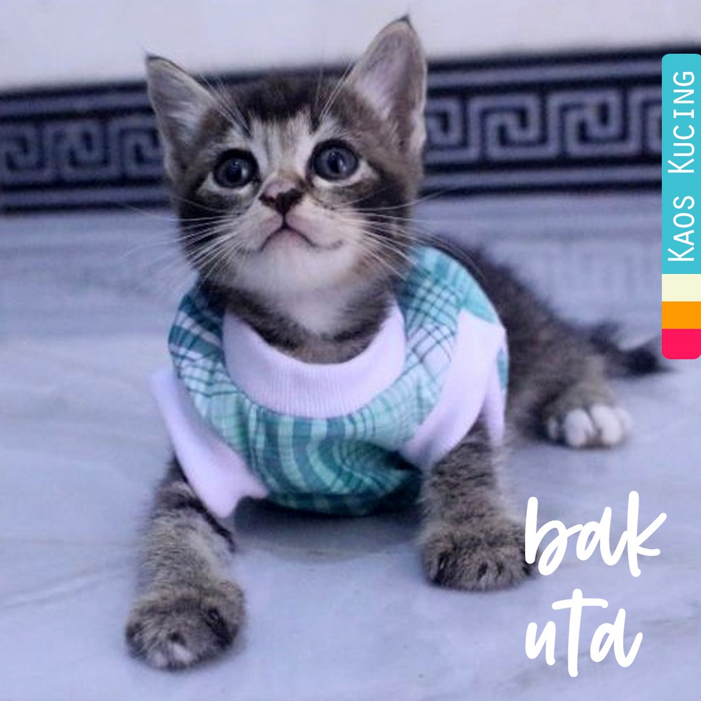 Kaos rumahan motif lucu #0211 untuk kucing dan anjing / baju kucing murah size S M L XL