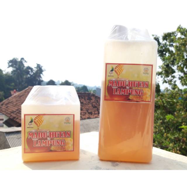 

Madu hutan lampung