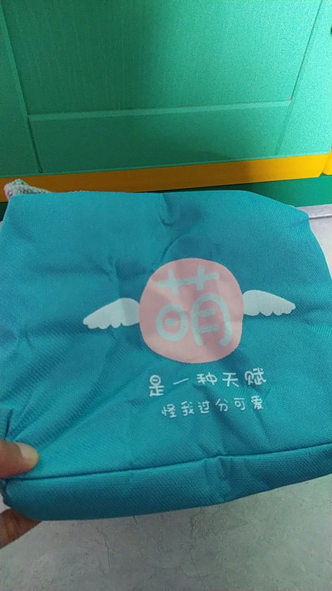 Tas Bekal  ( Coller Bag)