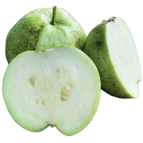 

Jambu Kristal 1 kg Surabaya