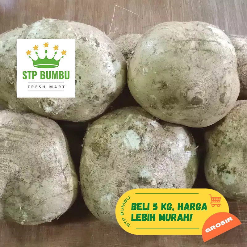 Buah Bengkoang Segar Fresh / Bengkuang 1kg