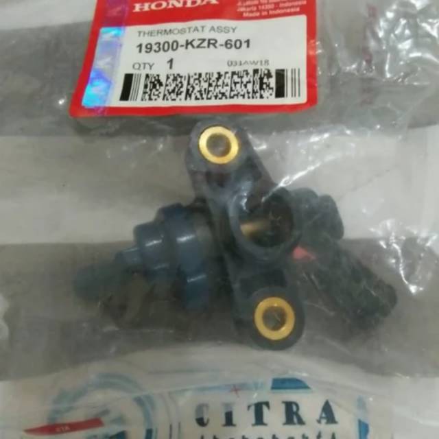 thermostat vario 125 150