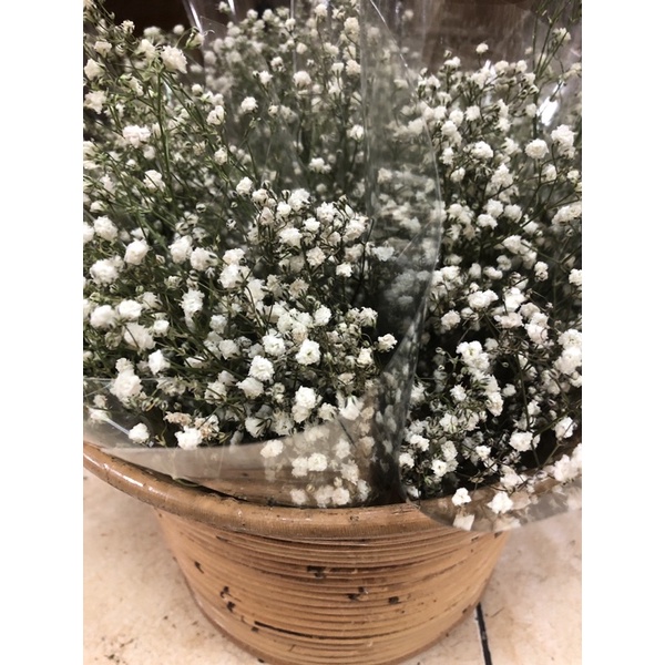 BABY BREATH BUNGA KERING