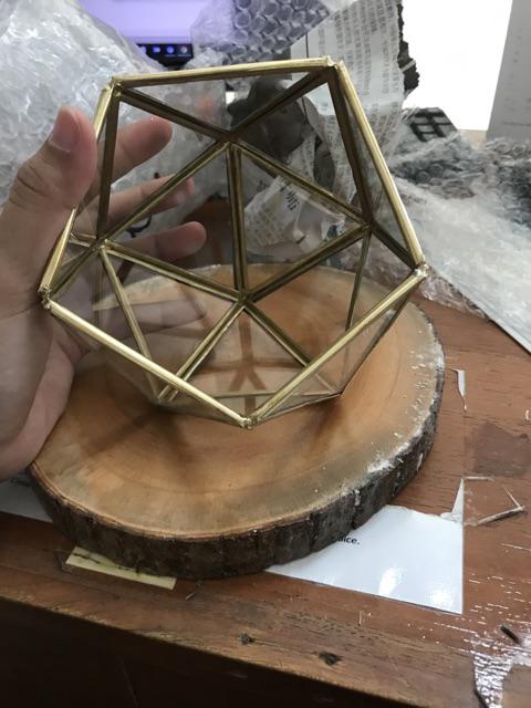 Satu Set Tempat Cincin Terrarium/ Tatakan Kayu / Ring Box Sangakar Burung