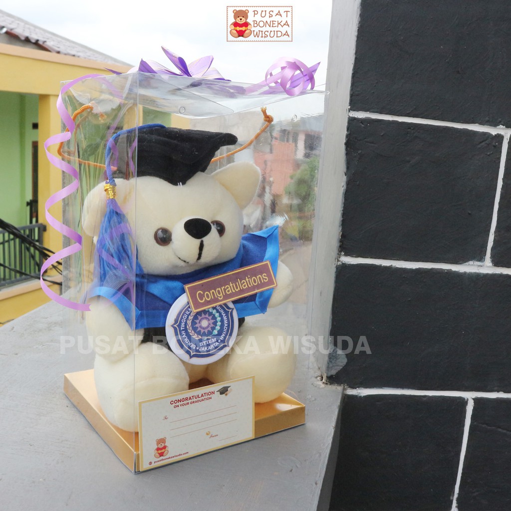 Boneka Wisuda Teddy Bear Ber Tedy Costom Kecil Mini Kado Wisuda Murah Hadiah Ulangtahun Grosir ultah