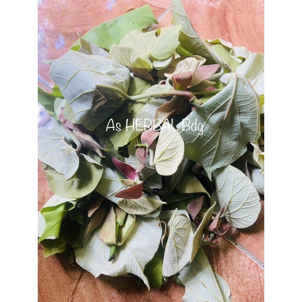 

Pucuk daun waru / daun waru muda khusus segar 200 gram-az