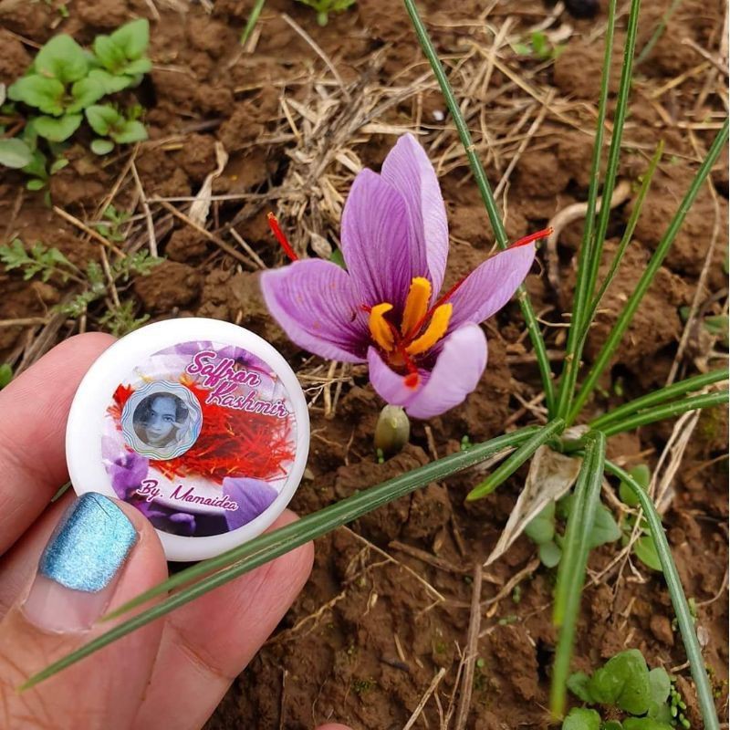 Saffron kashmir momoidea grade A original 100% tidak pahit