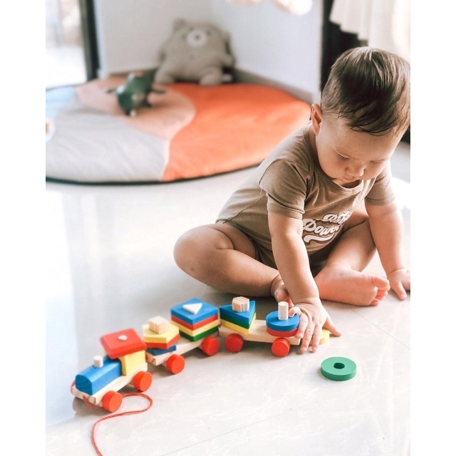 Wooden Geomatric Train