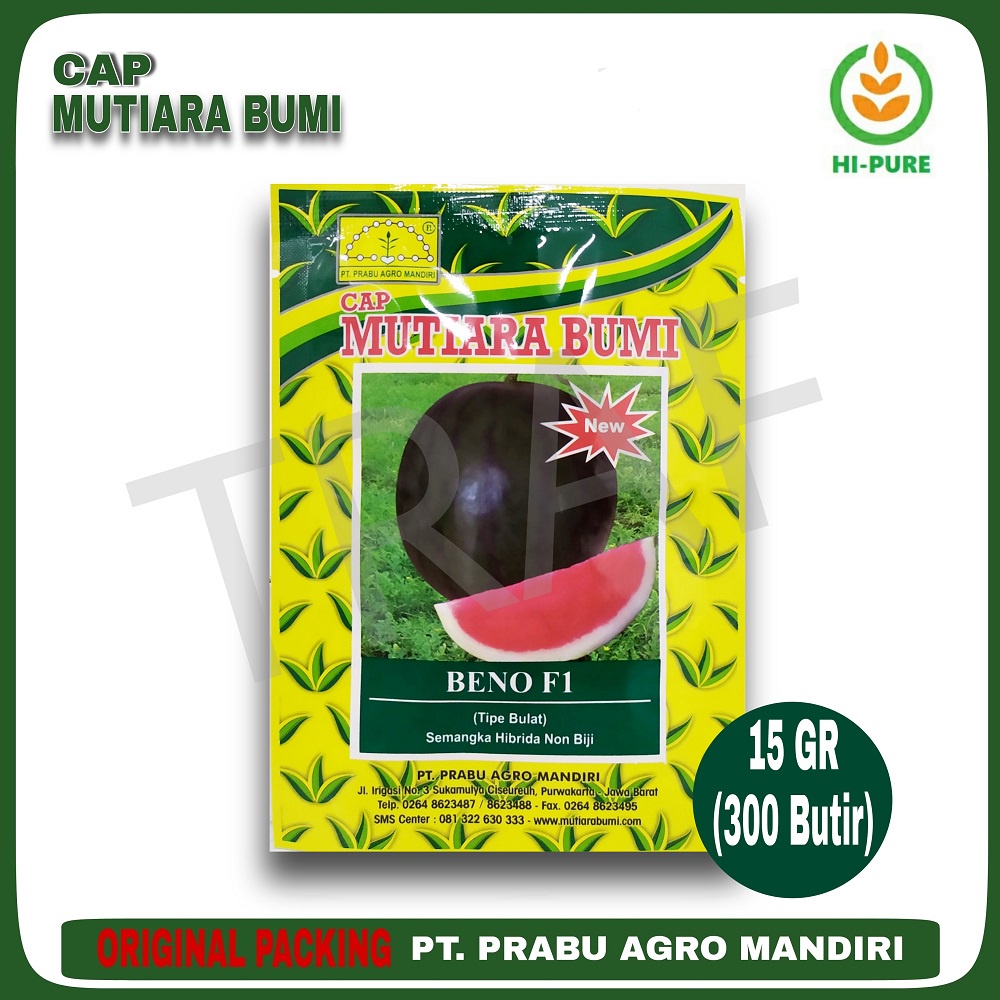 Semangka BENO F1 Hibrida Non Biji Tipe Bulat Isi 300 Butir Benih Cap Mutiara Bumi