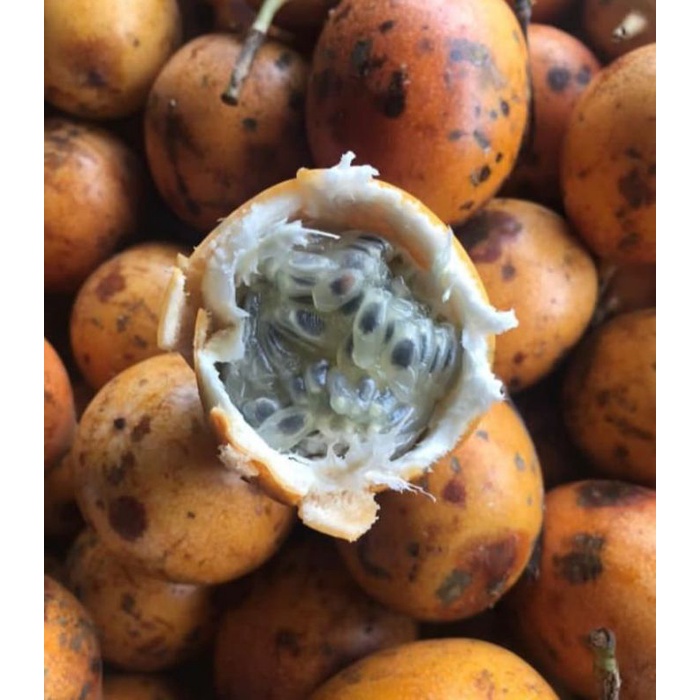 

MARKISA/passion fruits/buah markisa fresh 1kg