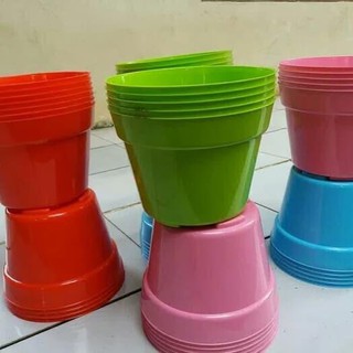  Pot  Tanaman  Nkt Warna Warni Ukuran 10 Lebih Imut Dan Awet  