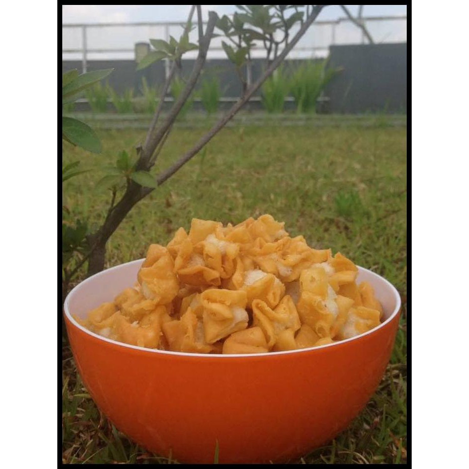 

HOT SALE Siomay Kering Kuncup 500gr terjamin