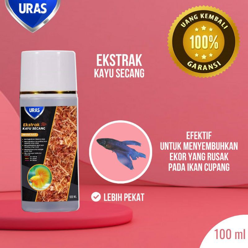 Ekstrak Kayu Secang Perawatan Ikan Cupang Koi Blue Rim Halfmoon Avatar Multicolor Giant Hias Murah