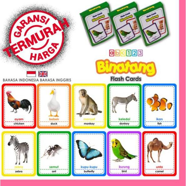 61 Koleksi Gambar Hewan Darat Dan Di Air Gratis Terbaik