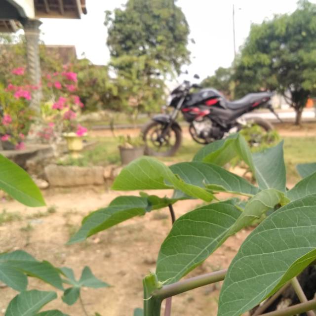 tediyusendikristiyawan