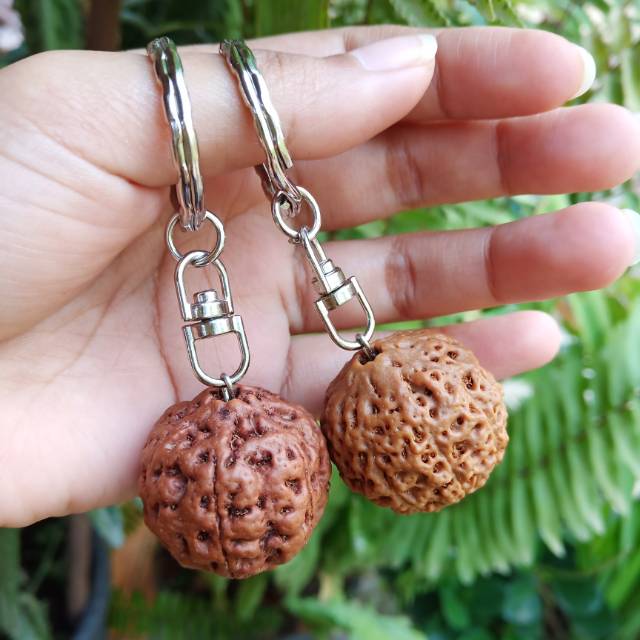 Gantungan Kunci Jenitri Jumbo Rudraksha