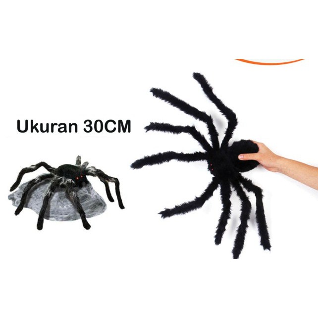 LABA-LABA HITAM PALSU LABA-LABA JUMBO LABA-LABA BERBULU